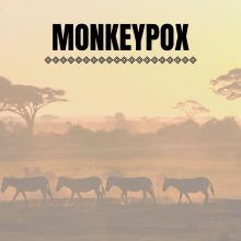Monkeypox, answering the questions